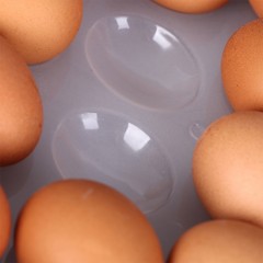 日本進口大容量雞蛋收納盒(帶蓋24格)