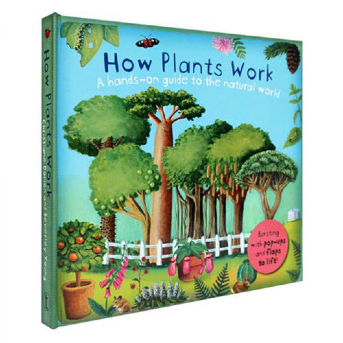 英文原版How Plants Work趣味科普立體書：植物是如何工作的