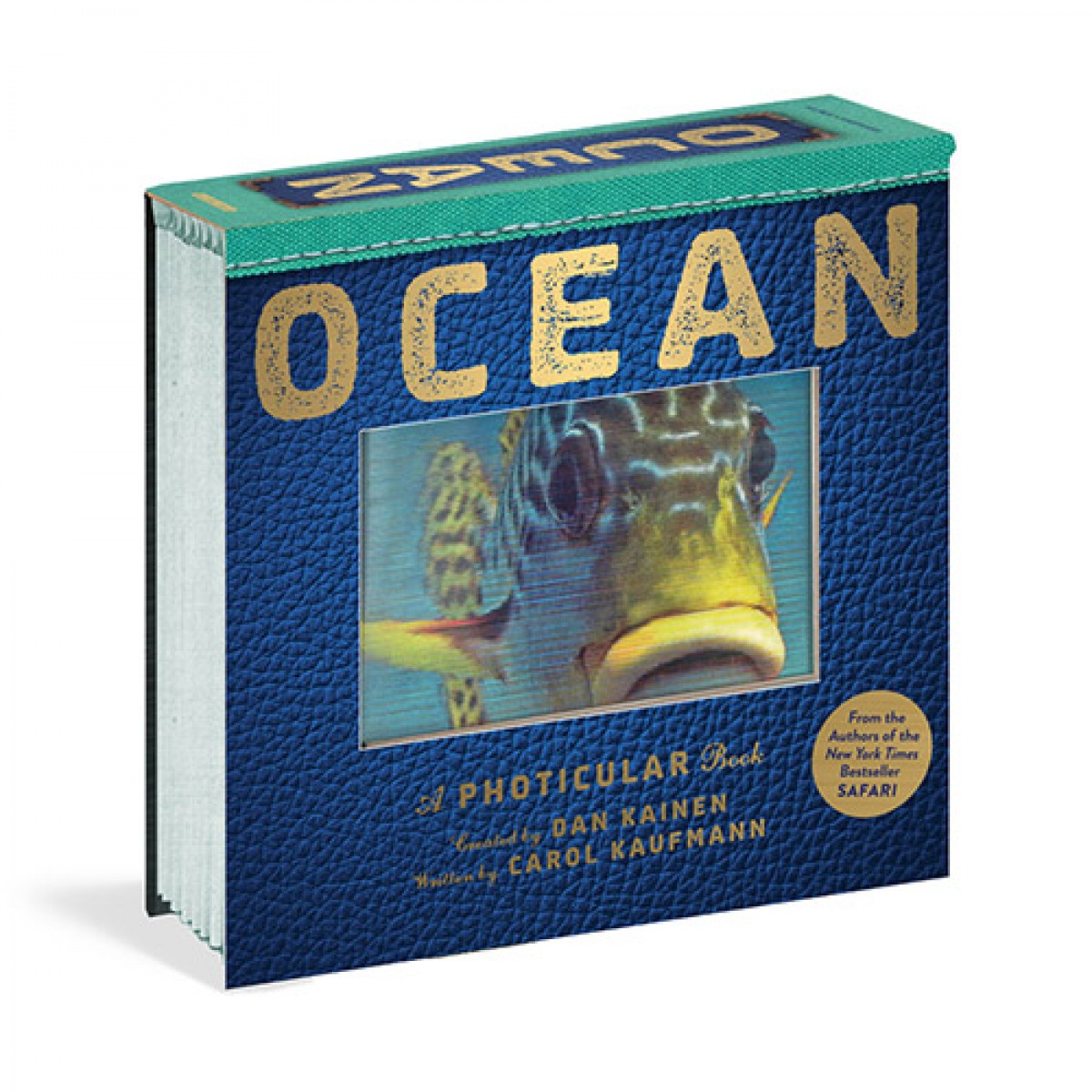 英文原版Ocean: A Photicular Book光與影視覺書系列海洋 會動的3D圖片書