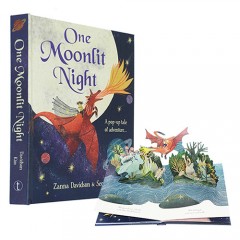 英文原版One Moonlit Night兒童冒險立體書