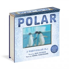 英文原版Polar:A Photicular Book光與影視覺書系列極地 會動的3D圖片書