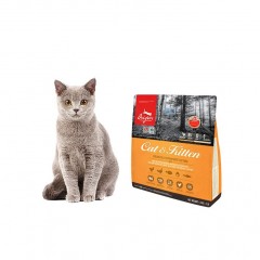 Orijen加拿大天然愛貓成貓幼貓雞肉配方全價貓糧1.8kg