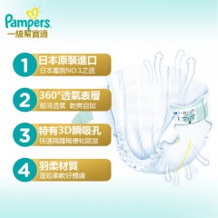 Pampers幫寶適-日本一級幫彩盒版幫寶適尿布-拉拉褲