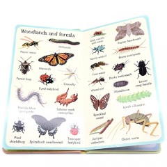 英文原版199 Bugs199種昆蟲百科繪本