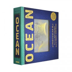 英文原版Ocean: A Photicular Book光與影視覺書系列海洋 會動的3D圖片書