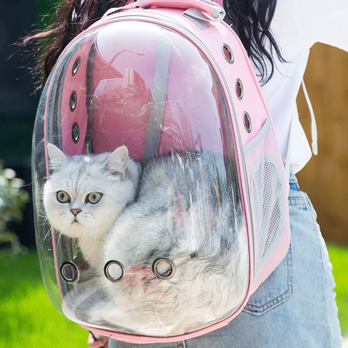 寵物貓咪狗狗外出便攜透明包貓籠手提太空包