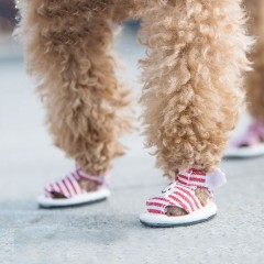 寵物狗狗泰迪比熊夏季透氣涼鞋鞋套(4只/套)