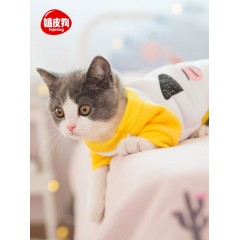 寵物貓咪加菲可愛春夏季薄款衣服