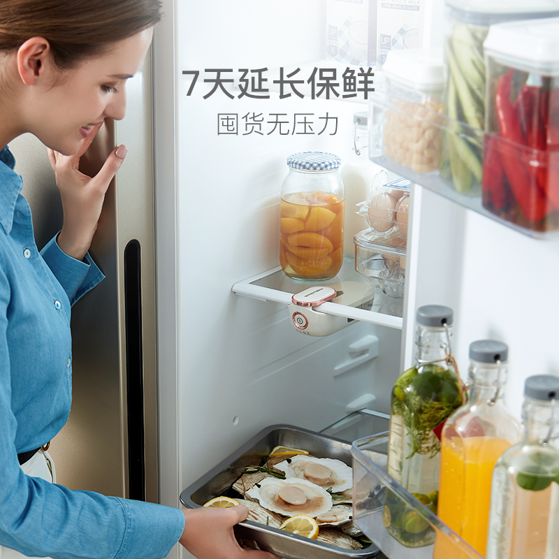 冰箱衞士除味神器 臭氧除菌除臭保鮮淨化器