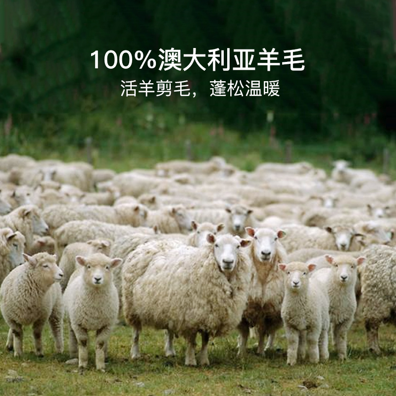 輕奢澳洲羊毛被 抗菌升級