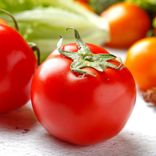 當水果吃的番茄貴族，普羅旺斯番茄 4.5斤