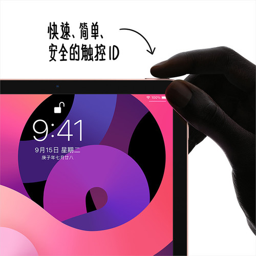 【大牌補貼】Apple蘋果iPad Air4國行WLAN版