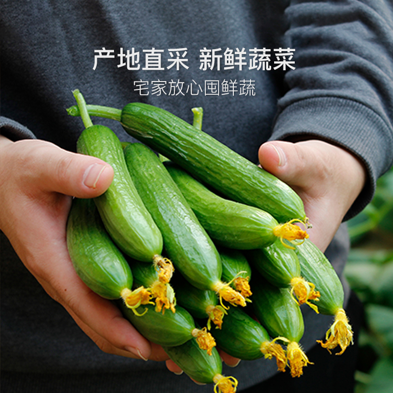 居家也能吃到的健康菜，壽光時鮮蔬菜 5斤