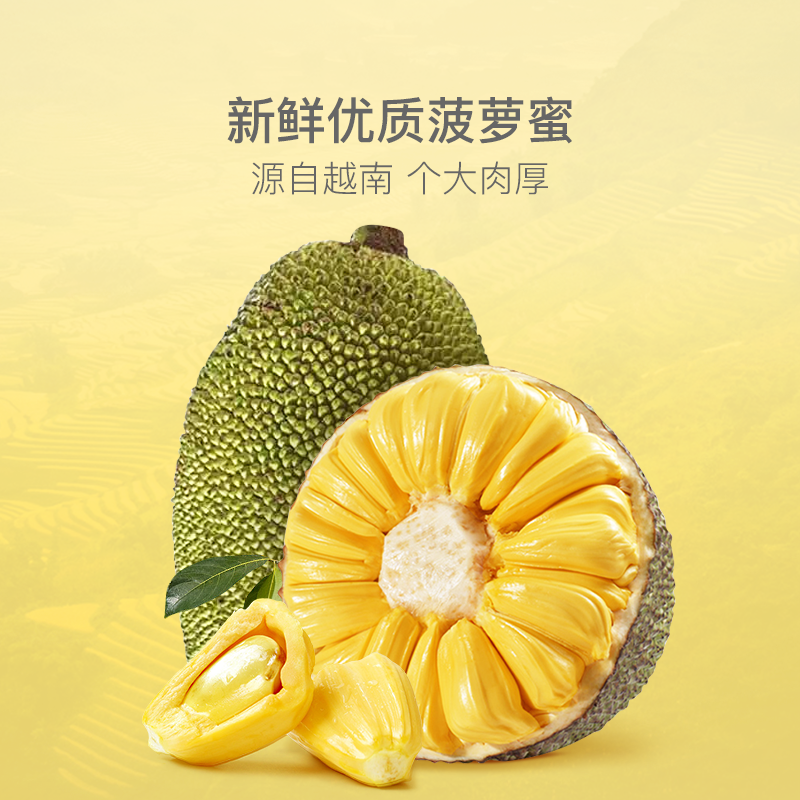 金黃酥脆果香濃 越南菠蘿蜜果乾 75g