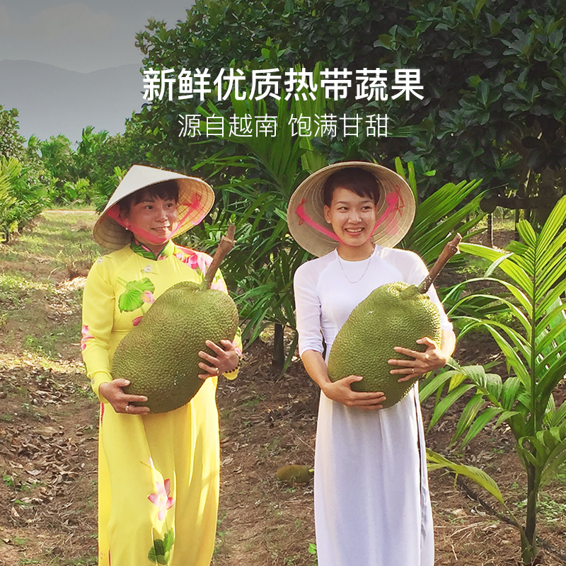 多種果味一袋享用 越南綜合蔬果乾 75g