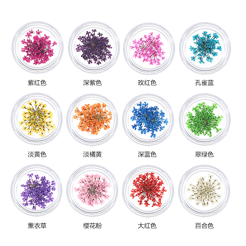 KaSi美甲乾花12盒套裝 美甲裝飾品 彩色花瓣指甲裝飾DIY飾品貼紙