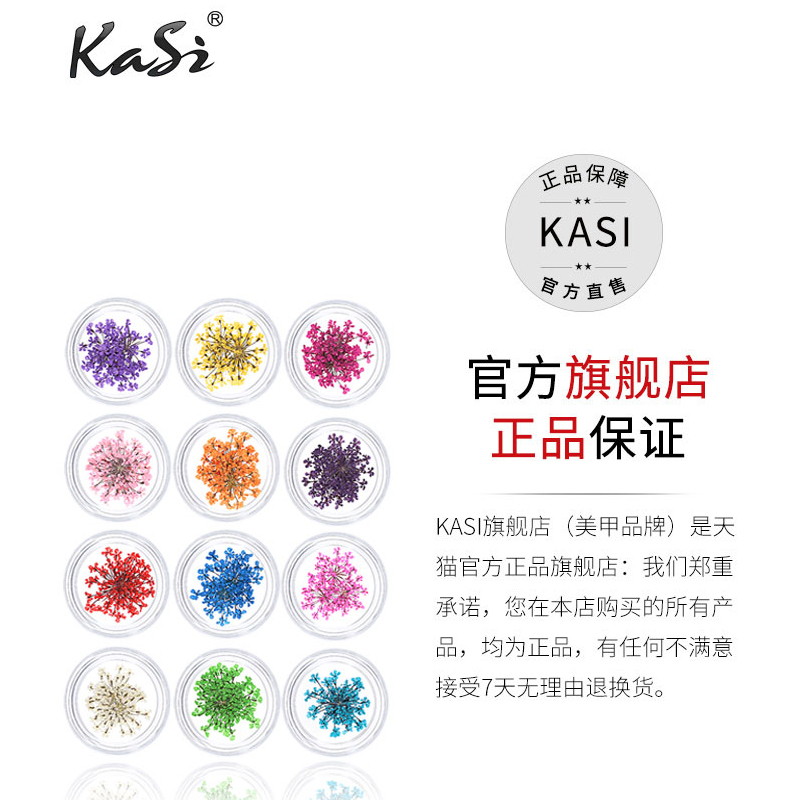 KaSi美甲乾花12盒套裝 美甲裝飾品 彩色花瓣指甲裝飾DIY飾品貼紙