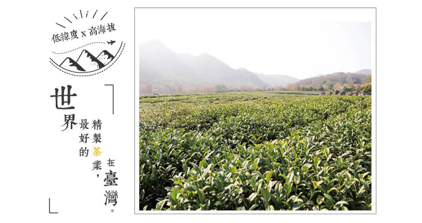 一手私藏世界紅茶 - 台灣高地紅茶-散裝茶葉150公克