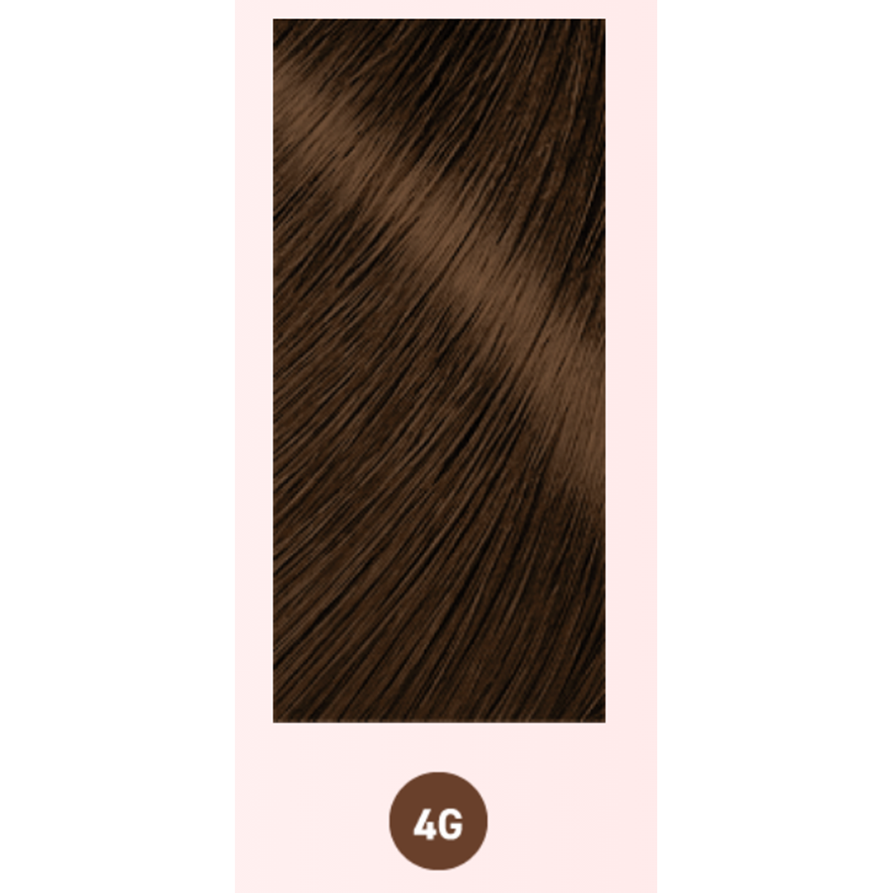 BIGEN 美源 深層滲透髮色持久染髮膏 #4G（自然栗色）兩盒裝