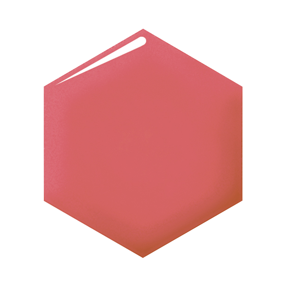 SHISEIDO 資生堂 INTEGRATE 完美意境晶透水光脣凍 #RD373 4.5g