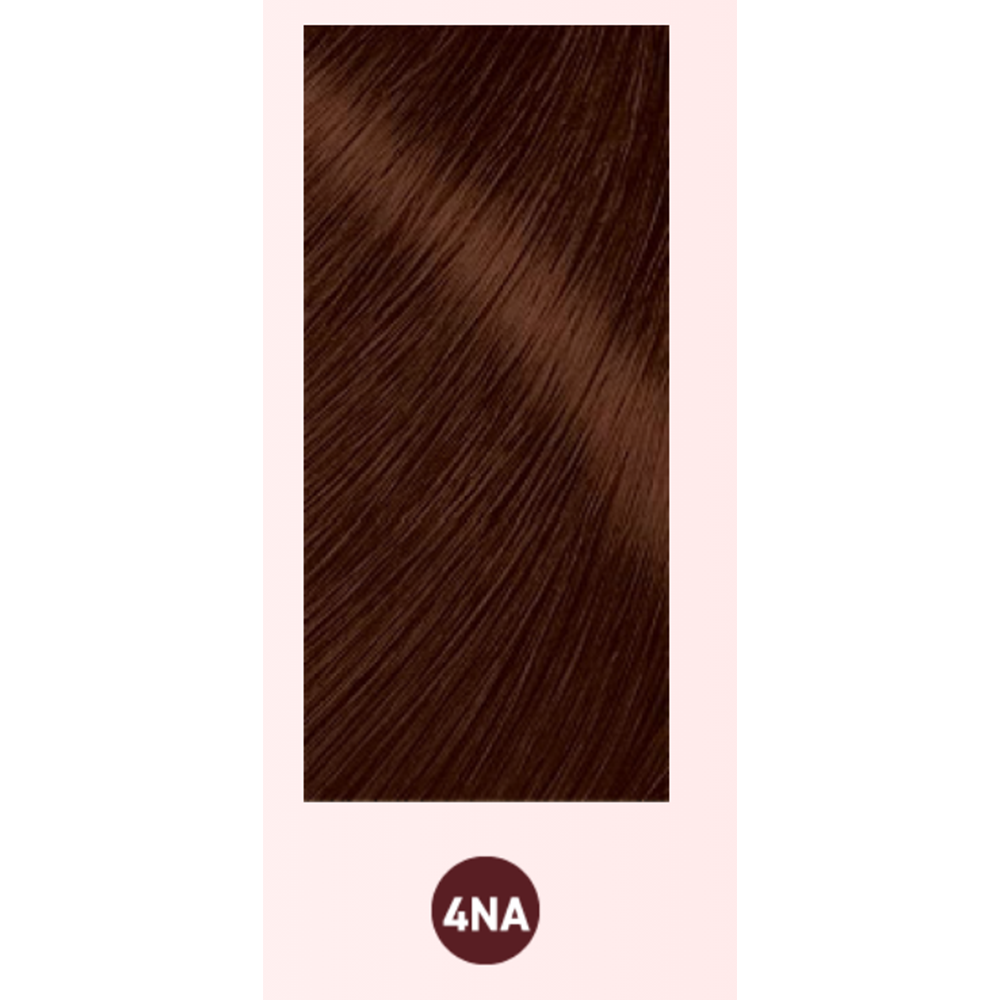BIGEN 美源 深層滲透髮色持久染髮膏 #4NA（自然棕色） 1劑40g+2劑40g