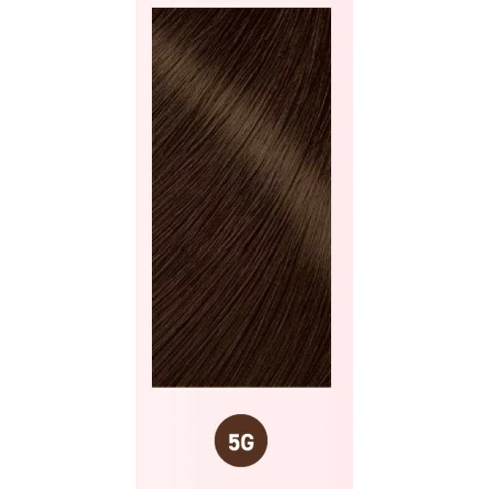BIGEN 美源 深層滲透髮色持久染髮膏 #5G（深栗色） 1劑40g+2劑40g