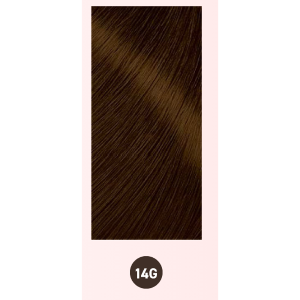BIGEN 美源 深層滲透髮色持久染髮膏 #14G（暗栗色） 1劑40g+2劑40g