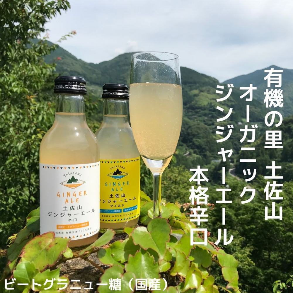 TOSAYAMA 土佐山 日式特色薑汁汽水 辣味 200ml