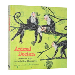 Animal Doctors 英文原版 動物專家:動物醫生 STEM科普與藝術的匯合 翻翻書