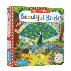 英文原版繪本 busy系列 First Explorers: Beautiful Birds SETM科普 幼兒探索啟蒙機關操作紙板書