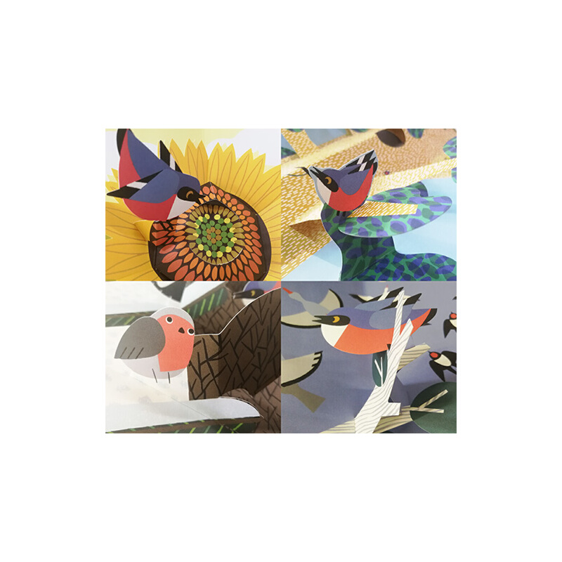 英文原版 Six Little Birds 六隻飛鳥 精裝幼兒認知立體書 兒童啟蒙早教繪本