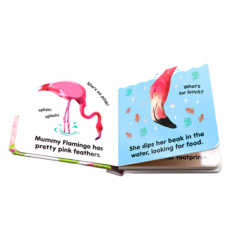 DK觸摸書進口英文原版Baby Touch and Feel Flamingo火烈鳥 寶寶觸摸紙板書感官訓練邊學邊玩低幼兒童英語啟蒙0-1-2-3歲親子閲讀
