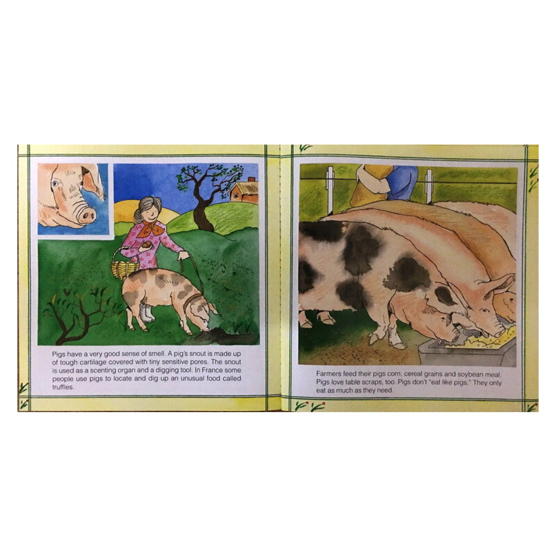英文原版 Gail Gibbons 蓋爾 吉本斯少兒百科 這是什麼呀 農場 動物 3冊 小學STEM科普繪本圖畫書