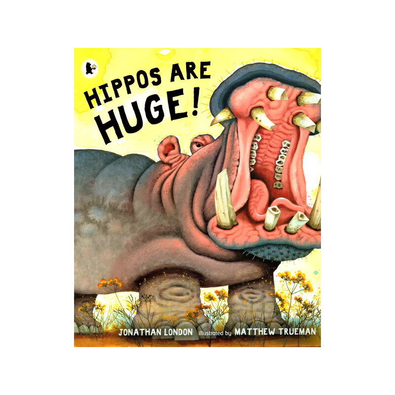 英文原版繪本 Hippos Are Huge! 小學STEM百科科普圖畫書 Walker Nature Story