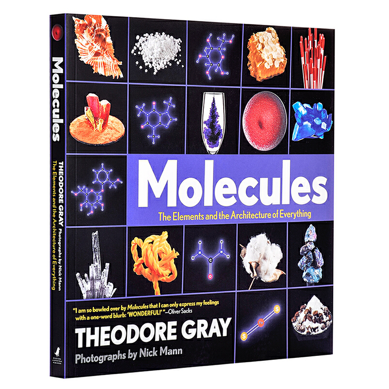 分子 一切的要素和架構 Molecules The Elements and the Architecture of Everything英文原版 西奧多格雷Theod