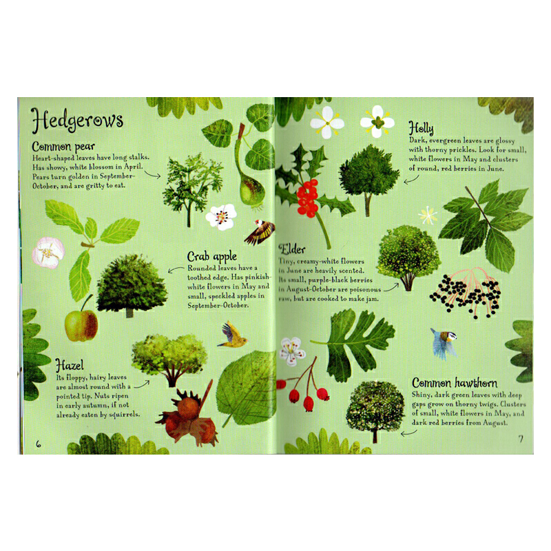 英文原版 Usborne Mini Books Trees to Spot 樹木主題活動書 附貼紙 幼兒啟蒙認知讀物 寶寶益智遊戲書