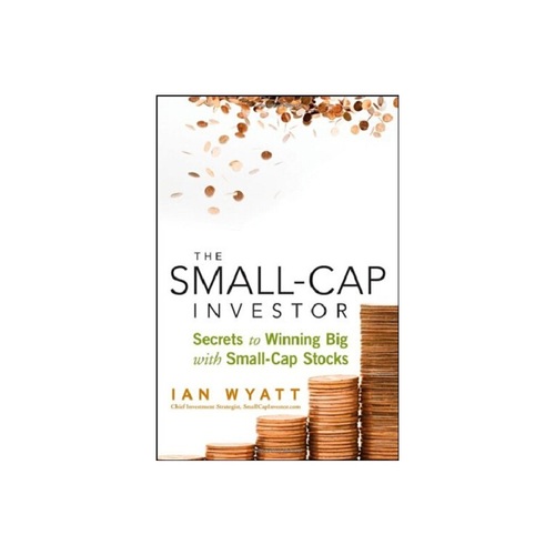 小額投資者：小額資本股票賺大錢祕訣英文原版 The Small-Cap Investor: Secrets to Winning Big with Small-Cap Stocks    The Small-Cap Investor: Se