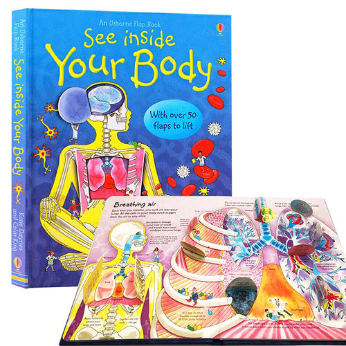 英文原版 Usborne See Inside Your Body 看裏面系列 探索人體揭祕 紙板翻翻書 大開本 尤斯伯恩 兒童科普認知繪本