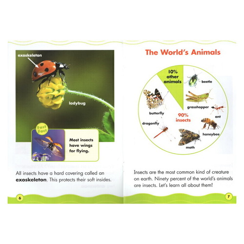 英文原版 Scholastic Science Vocabulary Readers Animal Groups 6冊合售 動物 兒童科普繪本 學樂 贈指導手冊