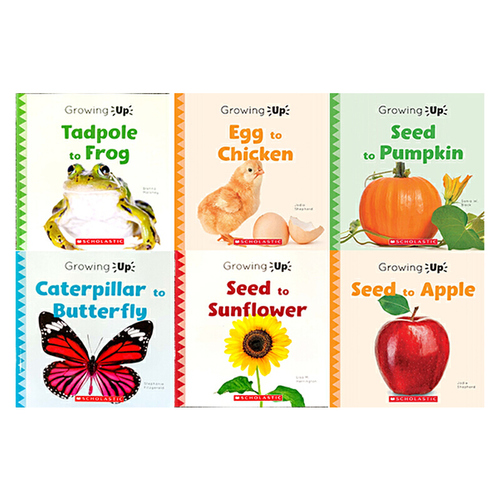 英文原版 Growing Up 6冊合售 Seed to Pumpkin/Tadpole to Frog/Seed to Apple 激發孩子好奇心思維拓展 少兒植物科普百科