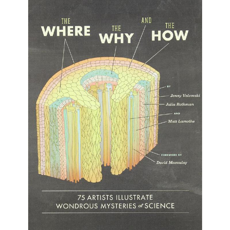 75個藝術家説明奇妙的奧祕 英文原版 The Where,the Why,and the How:75 Artists Illustrate Wondrous Mysteries of Science