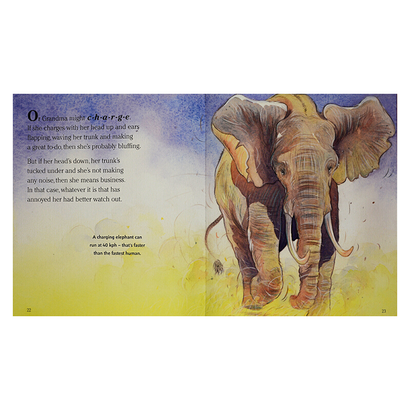 英文原版繪本 Grandma Elephant's In Charge STEM 百科科普圖畫書 Walker Nature Story