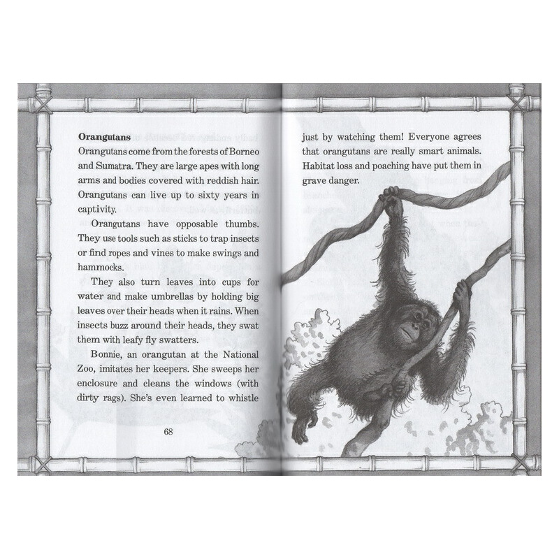 神奇樹屋小百科英文原版 Magic Tree House Fact Tracker 1-4冊盒裝 Amazing Animals! 兒童科普章節小説