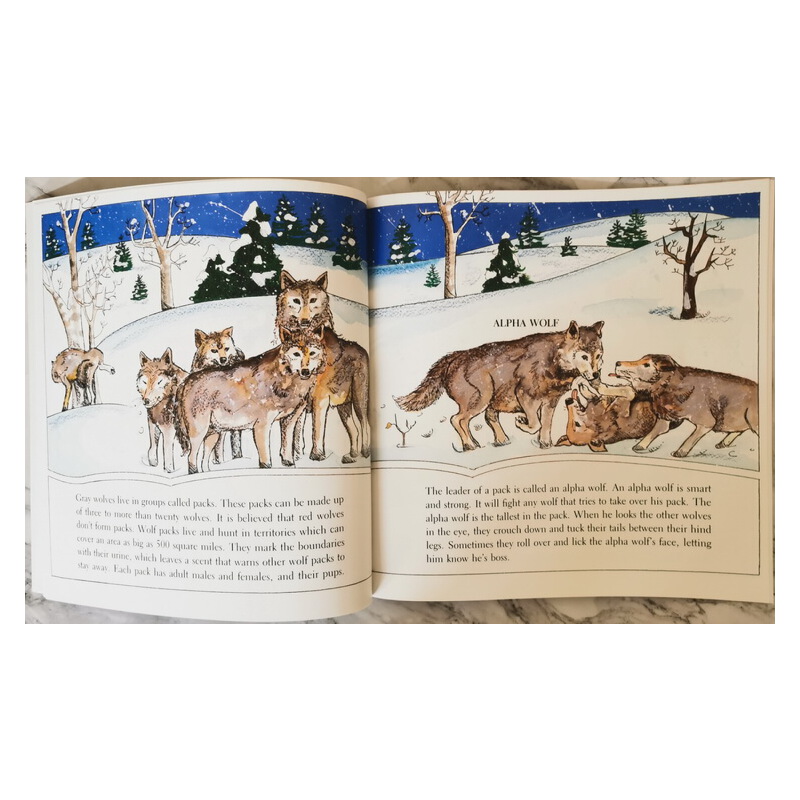 英文原版 Gail Gibbons 蓋爾 吉本斯少兒百科 這是什麼呀 野生動物系列 5冊 Wolves/Giant Pandas