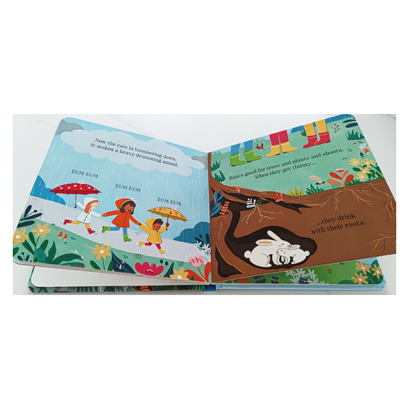 英文原版 The Rainy Day 雨天 Usborne Little Board Book 紙板書 兒童啟蒙學習圖畫故事書
