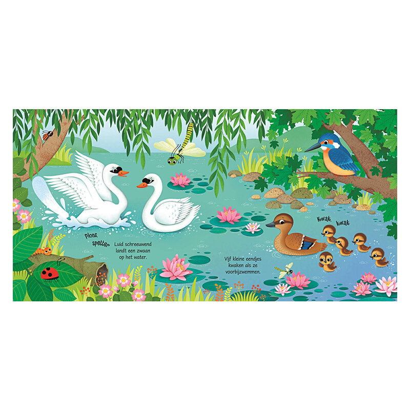 英文原版繪本 Usborne Bird Sounds 小鳥的聲音 低幼啟蒙奇妙觸摸音樂發聲書 聆聽小鳥的各種聲音 尤斯伯恩
