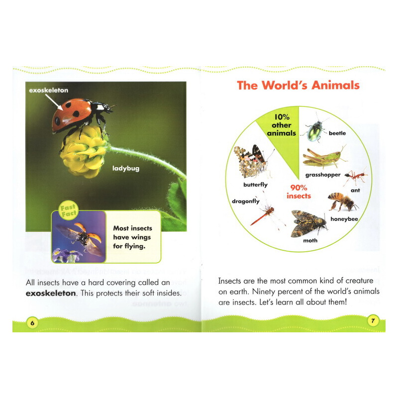 英文原版 Scholastic Science Vocabulary Readers Animal Groups 6冊合售 動物 兒童科普繪本 學樂 贈指導手冊