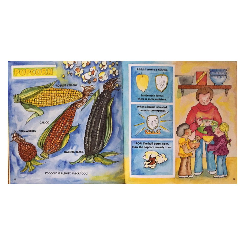 蓋爾 吉本斯少兒百科 食物系列 英文原版 Gail Gibbons 這是什麼呀 4冊 蔬菜水果 小學STEM科普繪本圖畫書