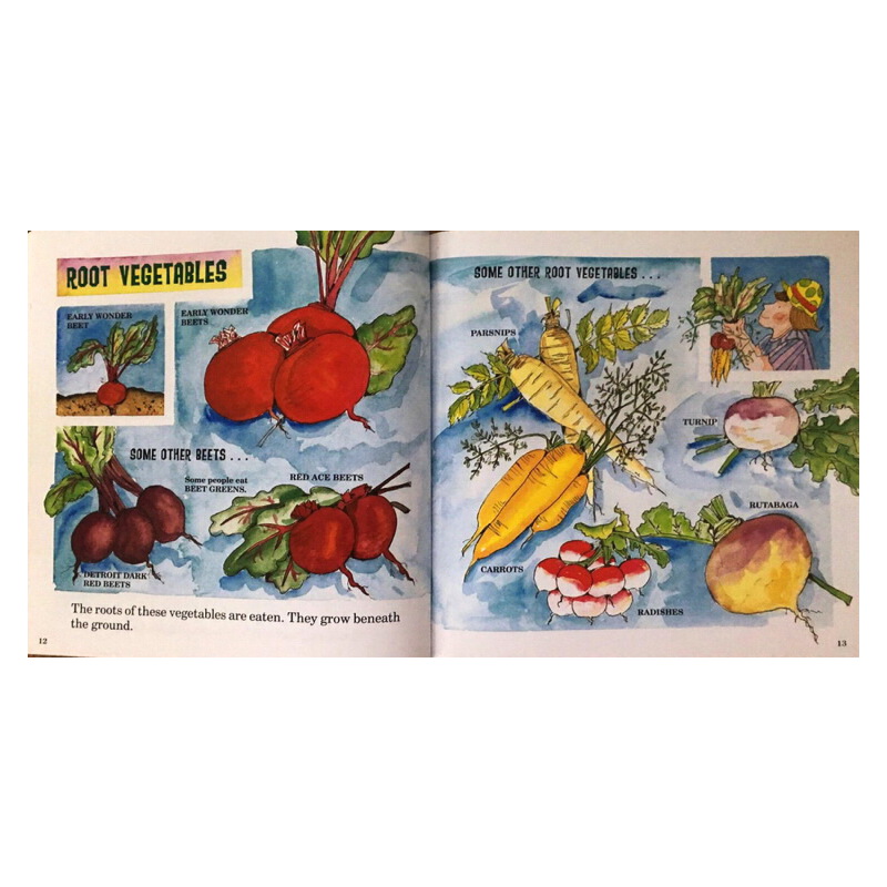 蓋爾 吉本斯少兒百科 食物系列 英文原版 Gail Gibbons 這是什麼呀 4冊 蔬菜水果 小學STEM科普繪本圖畫書