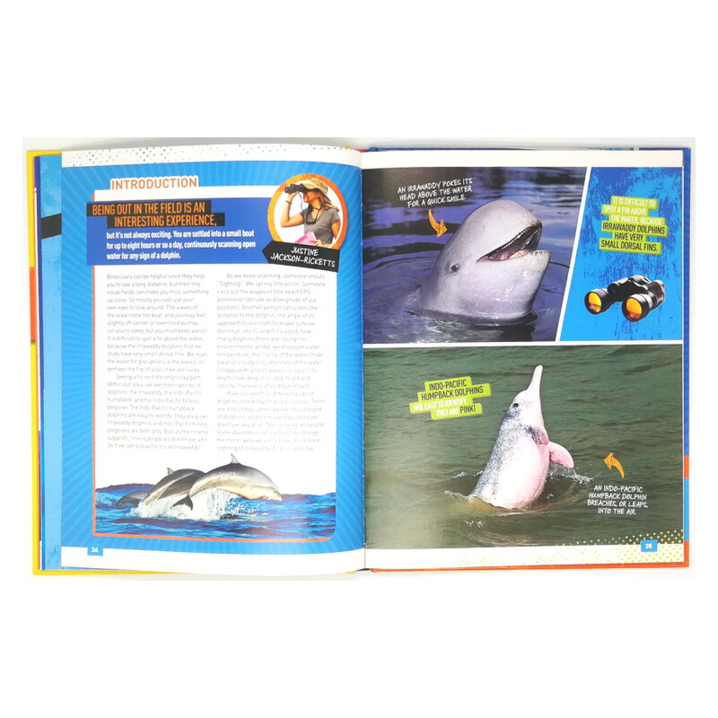 英文原版 National Geographic Kids Absolute Expert: Dolphins 美國國家地理 海豚 精裝兒童科普閲讀繪本